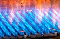 Ruggin gas fired boilers
